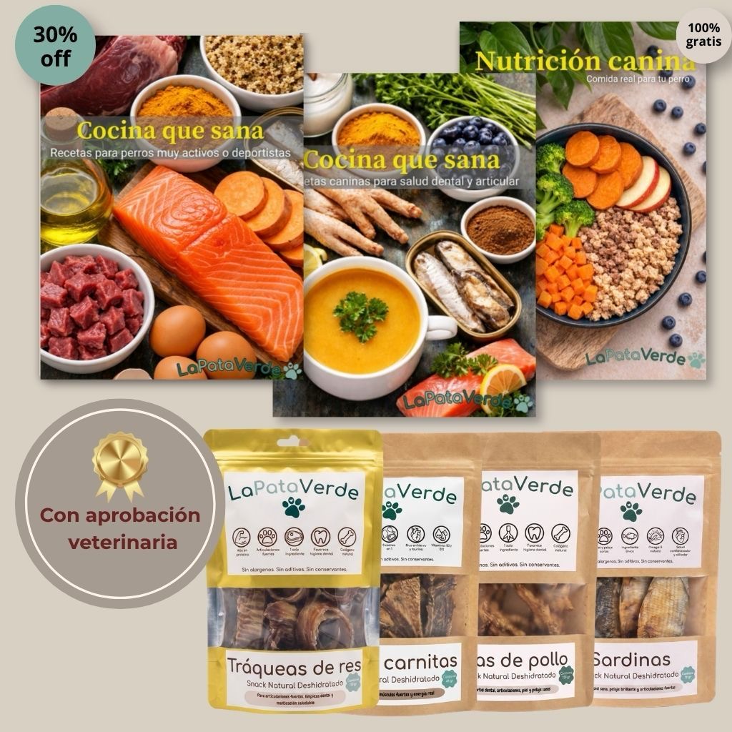 Pack Completo 4 en 1 | 2 Recetarios en PDF (10 recetas) | Envío gratis