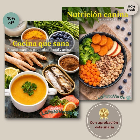 Recetario salud dental y articular en PDF (10% dcto)
