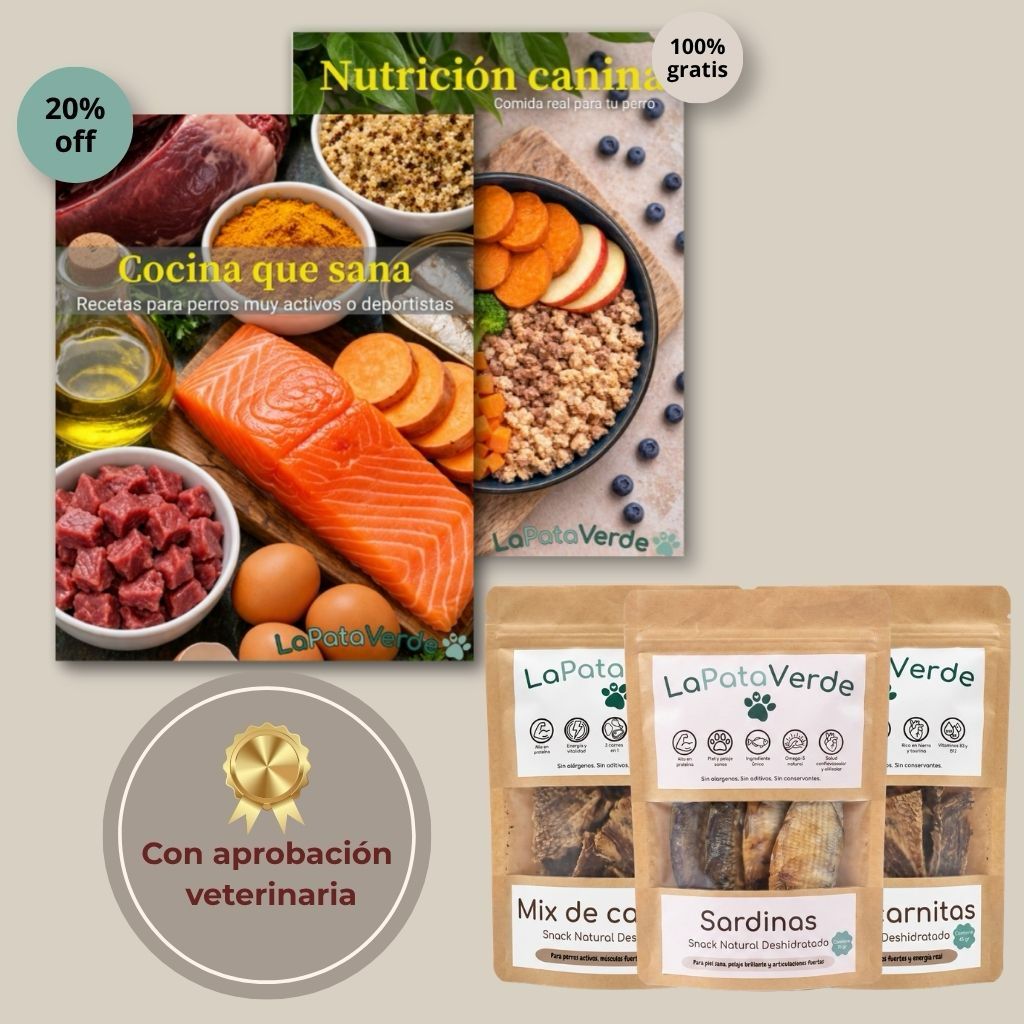 Pack Proteína + Energía (Recetario en PDF + Snacks altos en proteína) | Envío gratis